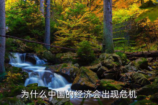 為什么中國將發(fā)生經(jīng)濟(jì)危機(jī)，中國為什么會面臨經(jīng)濟(jì)危機(jī)