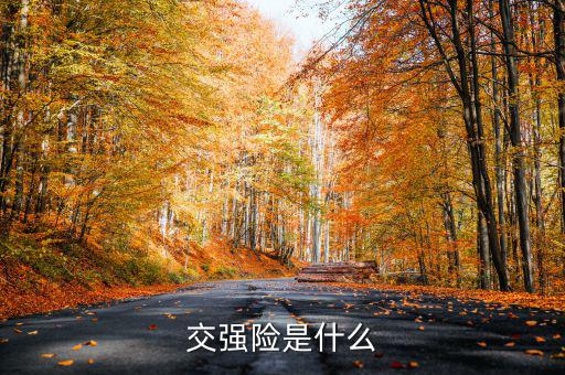 什么是交強(qiáng)險(xiǎn)，交強(qiáng)險(xiǎn)是什么