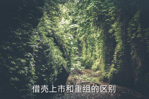什么是借殼重組，下殺就買怕什么借殼重組什么概念