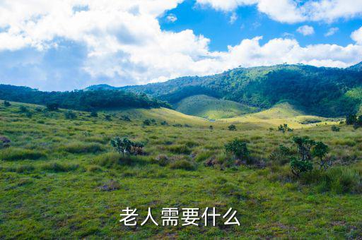 老百姓需要什么，老人需要什么