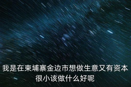 柬埔寨投資100萬元能干什么，我是在柬埔寨金邊市想做生意又有資本很小該做什么好呢