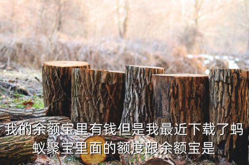 有什么軟件像存金寶那樣的，類似支付寶的理財產(chǎn)品有哪些