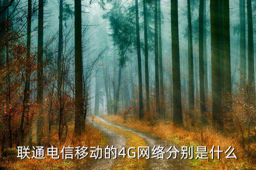 聯(lián)通混合組網什么意思，為什么我的聯(lián)通卡顯示H是什么意思