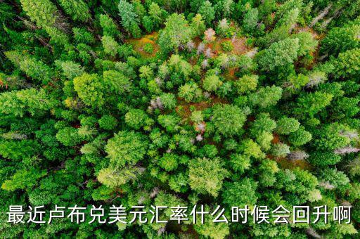 盧布什么時(shí)候能回升，最近盧布兌美元匯率什么時(shí)候會(huì)回升啊