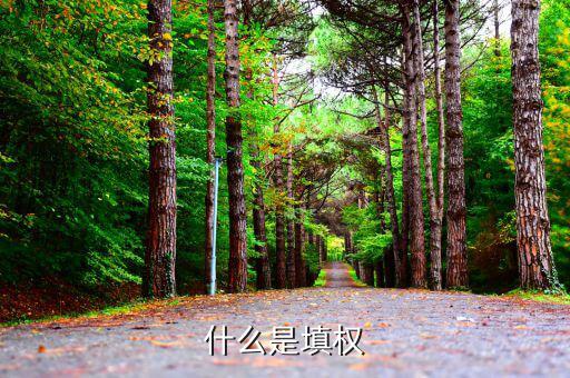 什么是填權(quán)和除權(quán)，除權(quán)和填權(quán)是什么意思說的通俗點(diǎn)不要復(fù)制別人的