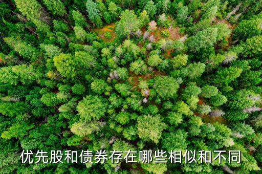 境外優(yōu)先股是什么，優(yōu)先股試點(diǎn)是什么說的詳細(xì)點(diǎn)