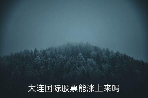 大連國際什么時(shí)候漲，大連國際股票能漲上來嗎