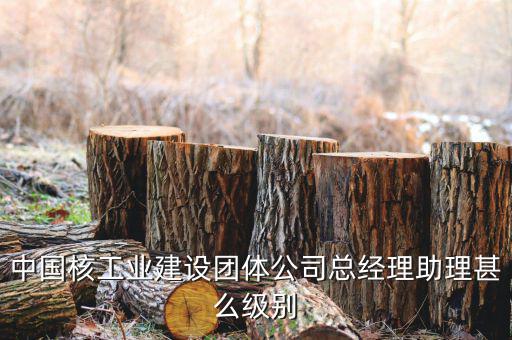 中國核工業(yè)集團什么級別，中國核工業(yè)建設(shè)團體公司總經(jīng)理助理甚么級別