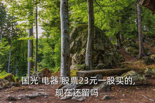  國(guó)光 電器 股票23元一股買(mǎi)的,現(xiàn)在還留嗎