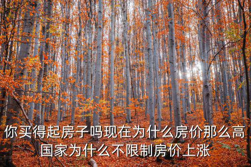 你買得起房子嗎現(xiàn)在為什么房價(jià)那么高國家為什么不限制房價(jià)上漲