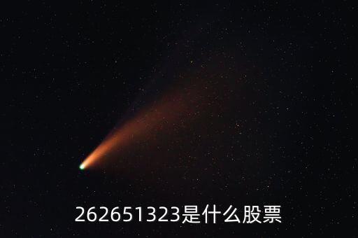 208393股票是什么，262651323是什么股票