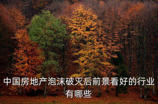 房地產(chǎn)泡沫后什么行業(yè)賺錢，如果真有一天中國房地產(chǎn)泡沫破了我們做點(diǎn)什么賺錢呢或者說有