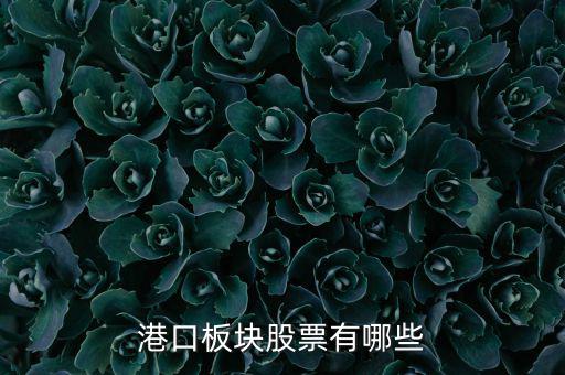 福建有什么港口股票，福建有哪些優(yōu)良的港口