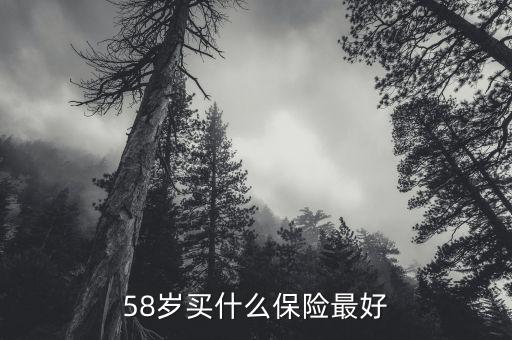 58歲女性做什么保險(xiǎn)，58歲女性可以辦哪些保險(xiǎn)啊