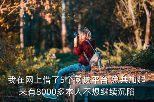 什么網(wǎng)貸能帶8000，今年二十我想貸款八千現(xiàn)有工作分是還款靠譜有好心人幫忙指點