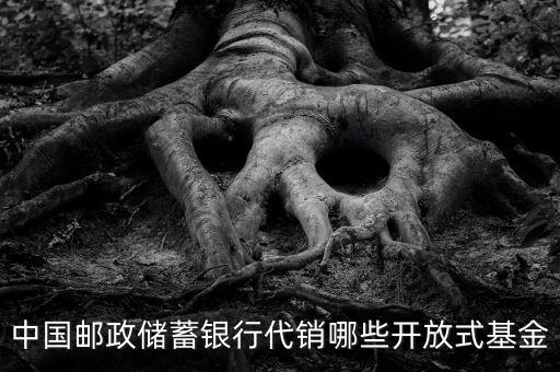 中國郵政儲(chǔ)蓄銀行代銷哪些開放式基金