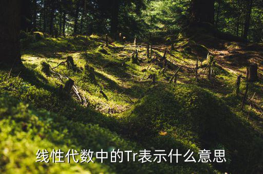 一陽穿四線說明什么，一陽穿四線成交增量的股票會漲嗎