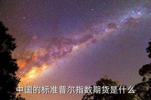 什么是國內(nèi)期貨指數(shù)，中國的標準普爾指數(shù)期貨是什么