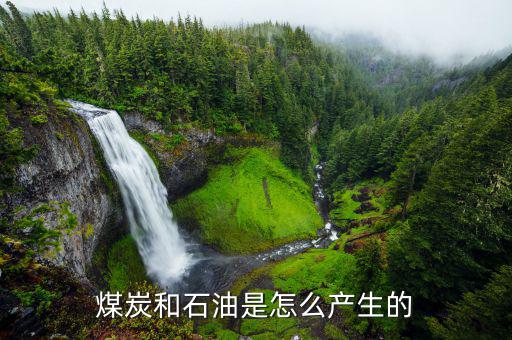 石墨礦怎么形成,石墨最常見于大理石、片巖或砂麻巖中