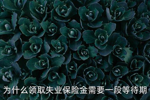 失業(yè)保險(xiǎn)為什么應(yīng)設(shè)等待期限，為什么領(lǐng)取失業(yè)保險(xiǎn)金需要一段等待期