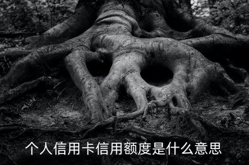信用卡的信用額度是什么意思，信用卡額度什么意思