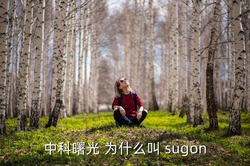 2014中科曙光什么時(shí)候上市的，股票為什么要選中科曙光