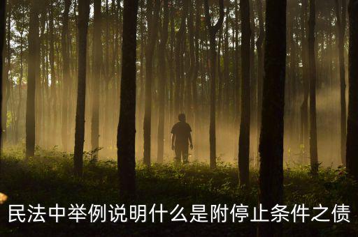 附停止條件的合同是什么意思，請(qǐng)教一下 怎么理解附條件和附期限合同啊 最好舉個(gè)例子 萬(wàn)分感謝  搜