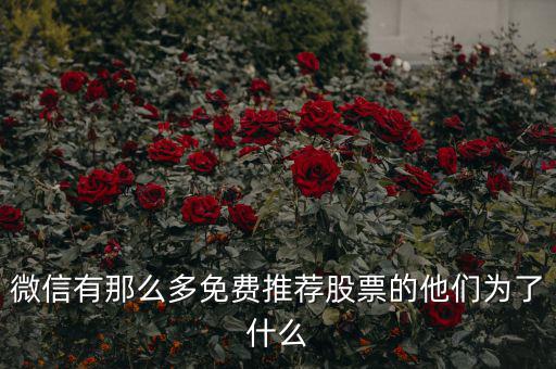 免費(fèi)股票為什么，微信有那么多免費(fèi)推薦股票的他們?yōu)榱耸裁?/></a></span><span id=