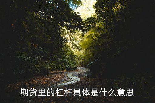 期貨杠桿是什么意思，期貨里的杠桿具體是什么意思