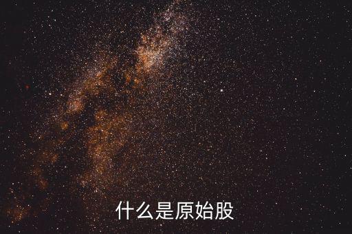 公司原始股是什么，什么是原始股怎樣買原始股