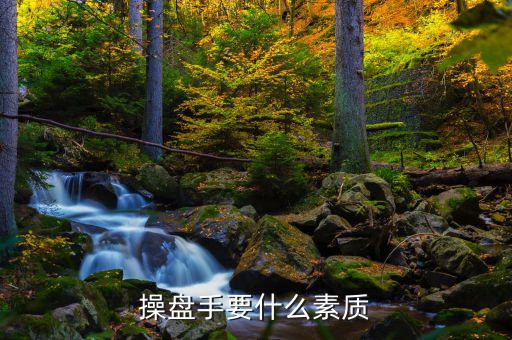 操盤手有什么要求，操盤手要什么素質(zhì)