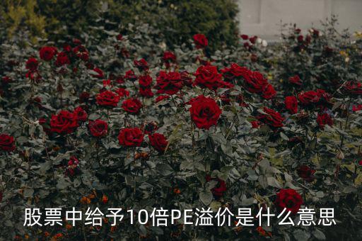 股票10倍市盈率什么意思，買10倍市盈率上下的大盤股什么意思