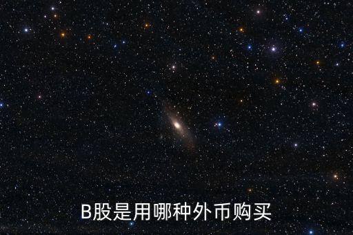 b股分紅支付什么貨幣，B股是用哪種外幣購(gòu)買(mǎi)