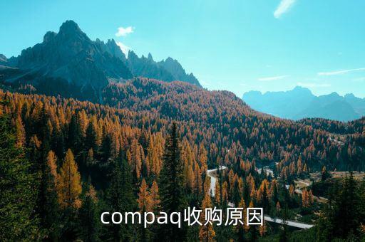 泰一指尚為什么被收購(gòu)，compaq收購(gòu)原因