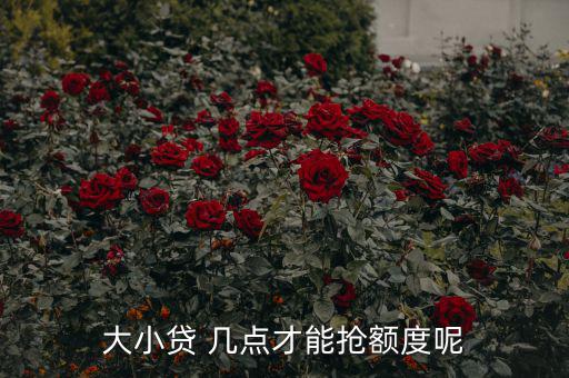 大小貸 幾點(diǎn)才能搶額度呢