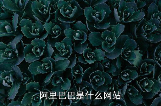 阿里巴巴是什么網(wǎng)站，阿里巴巴是什么網(wǎng)站