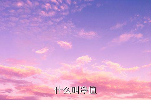 什么是凈值類理財產(chǎn)品，凈值型理財產(chǎn)品是什么意思
