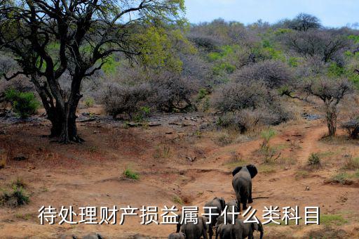 待財(cái)產(chǎn)處理損益是什么類科目，待處理財(cái)產(chǎn)損益屬于哪一類科目