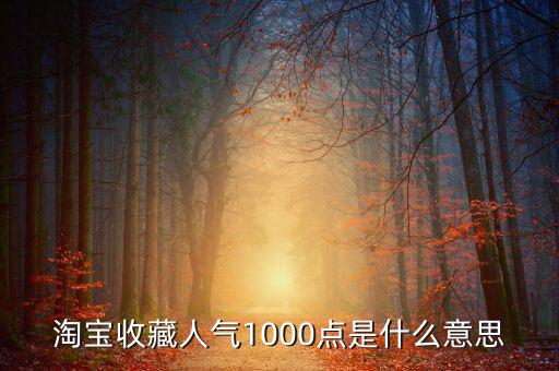 1000點(diǎn)2000點(diǎn)什么意思，加拿大簽證中1000 2000什么意思