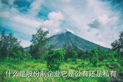 什么是單一鉬鐵生產(chǎn)企業(yè)，誰了解北京鉬都國際投資公司