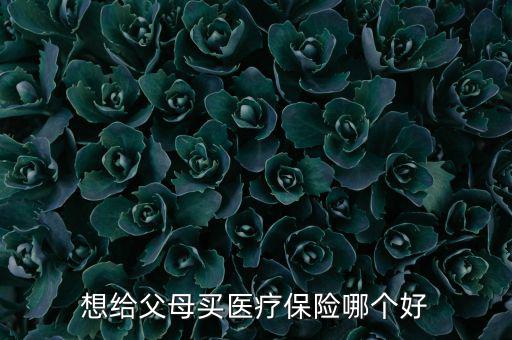 給父母買什么醫(yī)療保險好，想給父母買醫(yī)療保險哪個好