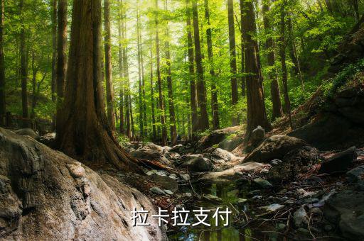 拉卡拉便利支付是什么，什么是銀聯(lián)拉卡啦支付