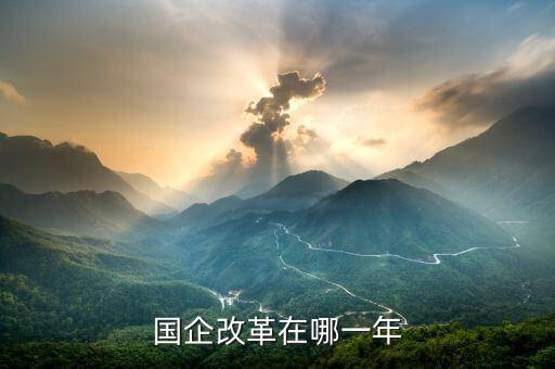國企改革什么時候開盤，國有企業(yè)改革是什么時候