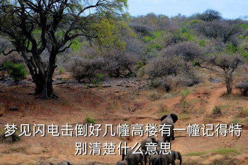 什么是閃電崩盤(pán)，a mini flash crash什么意思