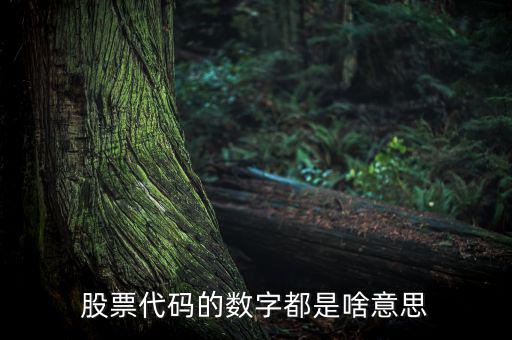 股票名稱下面的數(shù)字是什么，請教高手股票名稱后面的那些數(shù)字代表什么意思