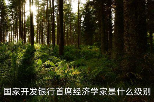 國家開發(fā)銀行首席經(jīng)濟學(xué)家是什么級別
