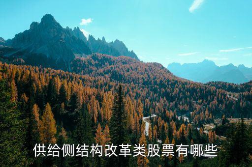 供給側(cè)最利好什么股票，供給側(cè)改革概念股有哪些