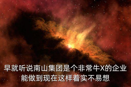 南山集團對南山村的作用有什么，南山村的介紹