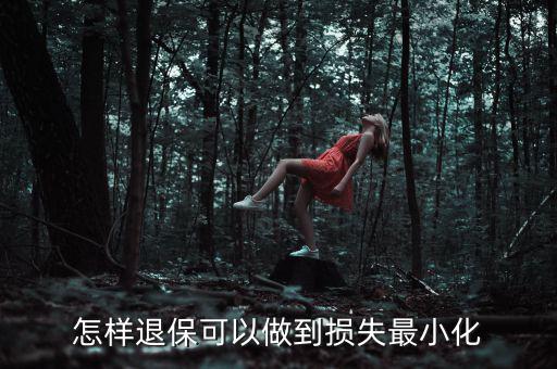 怎樣退?？梢宰龅綋p失最小化