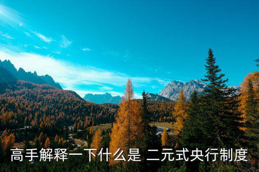 什么是二元體制，什么是二元制
